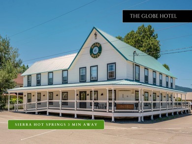One of the Sierra Valley's best-kept secrets - a rare hot - photo 47