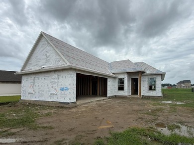Charming Magnolia A floorplan by Level Homes underway on a - photo 1