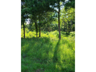 Lake Palestine Lot For Sale in Flint Texas