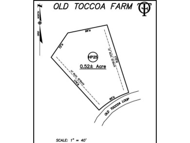 Toccoa River - Fannin County Lot For Sale in Mineral Bluff Georgia