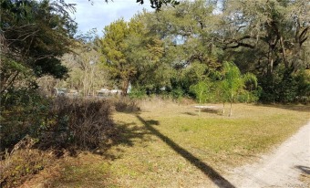 White Lake  Lot For Sale in Inverness Florida