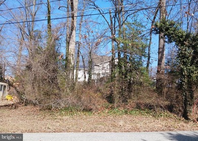 Amazing opportunity to own a partially wooded lot close to the - photo 3