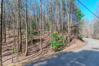 (private lake, pond, creek) Lot For Sale in Ellijay Georgia