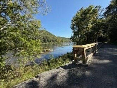 Rare 18.96-Acre Unrestricted Property Overlooking the New River - photo 11