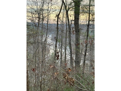 Rare 18.96-Acre Unrestricted Property Overlooking the New River - photo 18