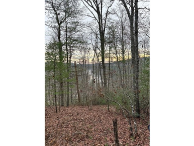 Rare 18.96-Acre Unrestricted Property Overlooking the New River - photo 20