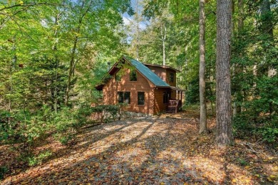 Lake Home For Sale in Blue Ridge, Georgia