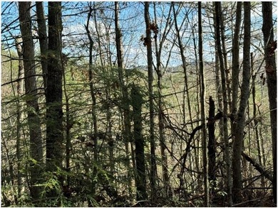 Rare 18.96-Acre Unrestricted Property Overlooking the New River - photo 21