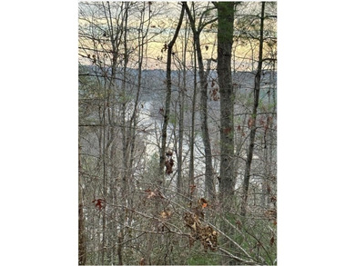Rare 18.96-Acre Unrestricted Property Overlooking the New River - photo 22