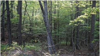 Rare 18.96-Acre Unrestricted Property Overlooking the New River - photo 24