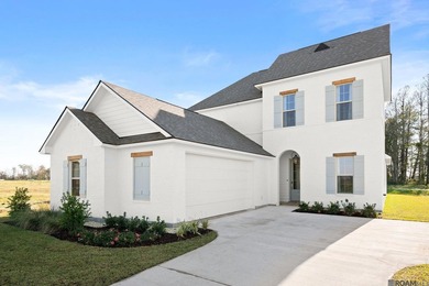 Stunning Burnside B plan by Level Homes underway in Atwater - photo 5