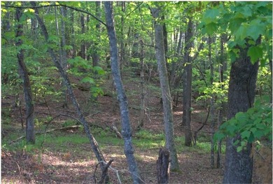 Rare 18.96-Acre Unrestricted Property Overlooking the New River - photo 25