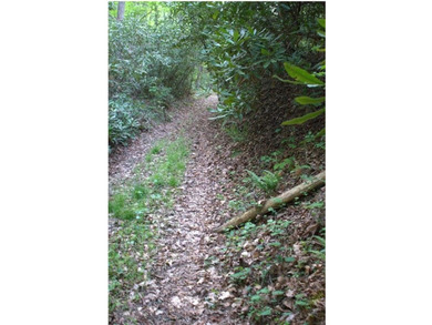 Rare 18.96-Acre Unrestricted Property Overlooking the New River - photo 29