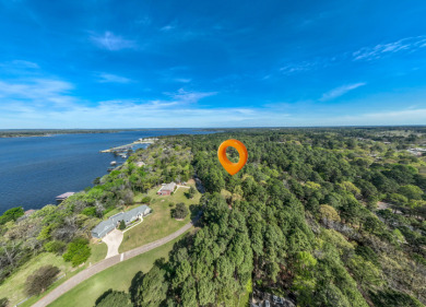 Wooded Lots in Lake Palestine Community - photo 5