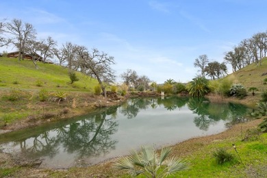 Nestled above Lake Berryessa and Pleasure Cove, this exceptional - photo 32