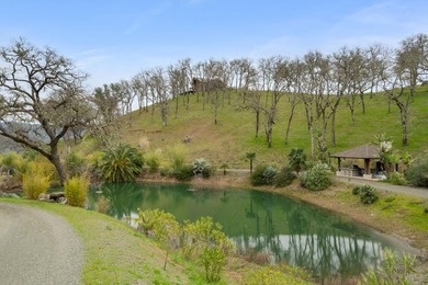 Nestled above Lake Berryessa and Pleasure Cove, this exceptional - photo 33