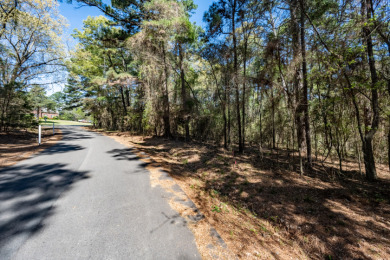 Wooded Lots in Lake Palestine Community - photo 15