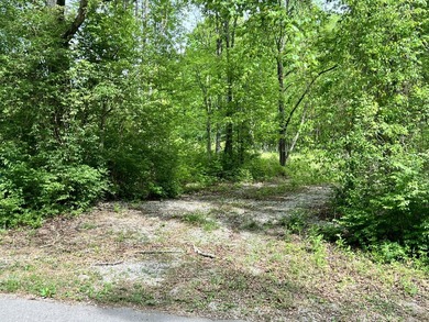 Lake Cumberland Lot Sale Pending in Bronston Kentucky