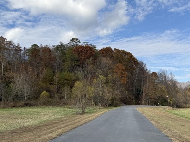 French Broad River Lot For Sale in Del Rio Tennessee