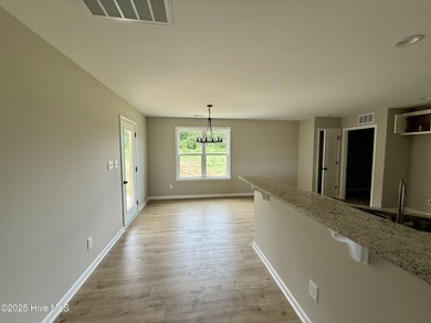 New Construction in Flower Hill. This 3 bedroom 2 bath ranch has - photo 4