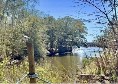Gorgeous large home with access to the Pascagoula River with - photo 13