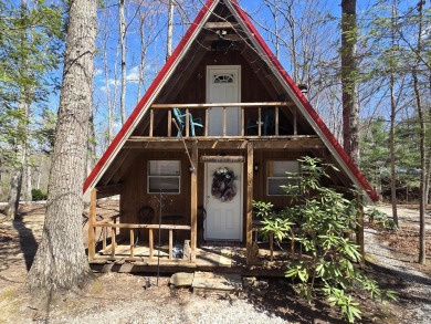 Lake Home For Sale in Wellington, Kentucky