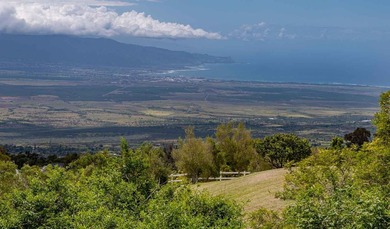 20 Kuulani Pl, Kula offers two beautiful wooded acres in the - photo 1