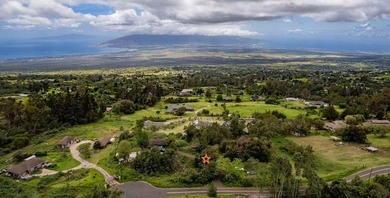 20 Kuulani Pl, Kula offers two beautiful wooded acres in the - photo 3