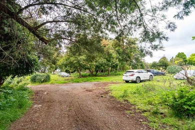20 Kuulani Pl, Kula offers two beautiful wooded acres in the - photo 7