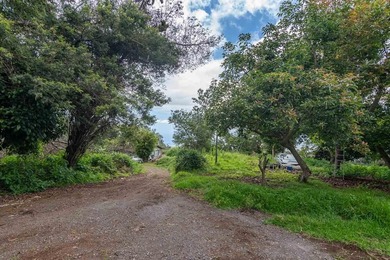 20 Kuulani Pl, Kula offers two beautiful wooded acres in the - photo 8