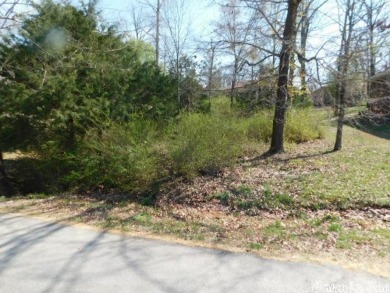 Driftwood Lake Lot For Sale in Mountain Home Arkansas