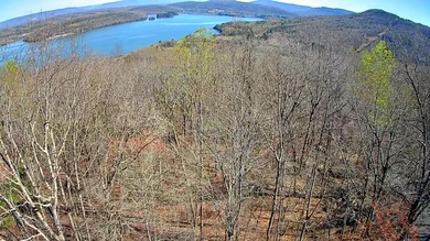 Nick-a-Jack Lake Acreage For Sale in South Pittsburg Tennessee