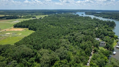 New Subdivision - Build Your Dream Home Near Lake Jacksonville! - photo 3