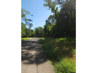 New Subdivision - Build Your Dream Home Near Lake Jacksonville! - photo 6