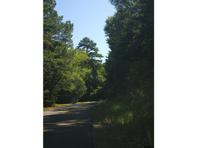New Subdivision - Build Your Dream Home Near Lake Jacksonville! - photo 8