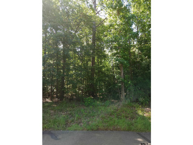 New Subdivision - Build Your Dream Home Near Lake Jacksonville! - photo 10