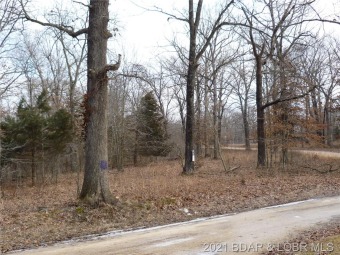 Lake of the Ozarks Lot For Sale in Rocky Mount Missouri