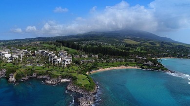 Positioned within the enclave of Kapalua Resort, this grand - photo 1