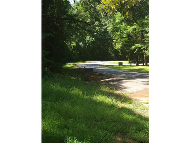 New Subdivision - Build Your Dream Home Near Lake Jacksonville! - photo 5