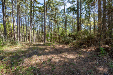 Wooded Lots in Lake Palestine Community - photo 11