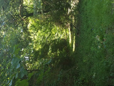 New Subdivision - Build Your Dream Home Near Lake Jacksonville! - photo 7