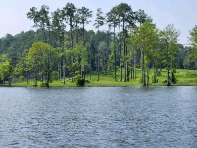 Approximately ONE ACRE gentle sloping restricted waterfront lot - Lake Lot For Sale in Burkeville, Texas