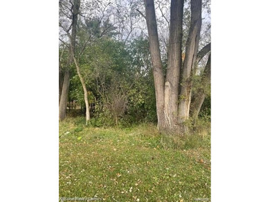 (private lake, pond, creek) Lot For Sale in Commerce Twp Michigan