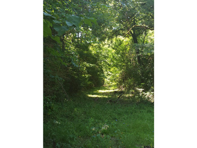 New Subdivision - Build Your Dream Home Near Lake Jacksonville! - photo 5