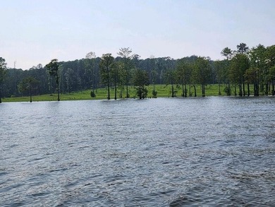Discover Eagles Landing Estates, an upscale lakefront - photo 6