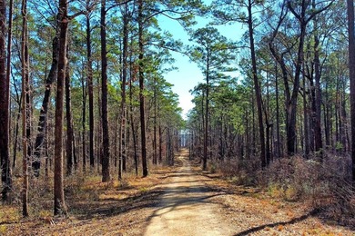 Discover Eagles Landing Estates, an upscale lakefront - photo 8
