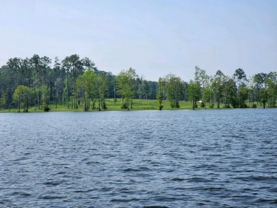Approximately ONE ACRE gentle sloping restricted waterfront lot - Lake Lot For Sale in Burkeville, Texas