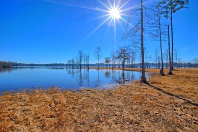 Toledo Bend Lake Lot For Sale in Burke Texas