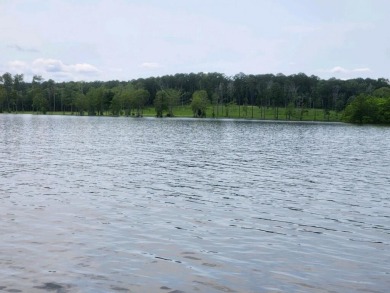 Approximately ONE ACRE gentle sloping restricted waterfront lot - Lake Lot For Sale in Burkeville, Texas