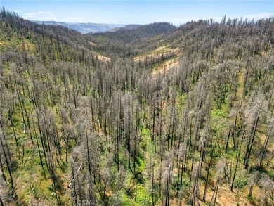 Spectacular mountain views, privacy, and endless possibilities - photo 11